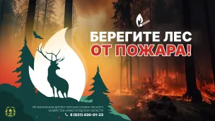 Нижегородский Минлесхоз напоминает о важности соблюдения правил пожарной безопасности в лесах